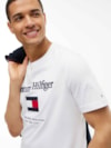 Camiseta Bordado Bandeira