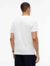 Camiseta Bordado Bandeira