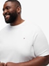 Camiseta Clássica Big and Tall