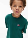 Camiseta Essential em Jersey com Logo Bandeira