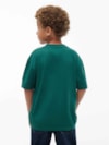 Camiseta Essential em Jersey com Logo Bandeira