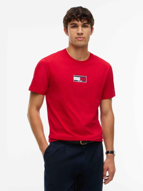 Camiseta Gola C e Logo de Bandeira