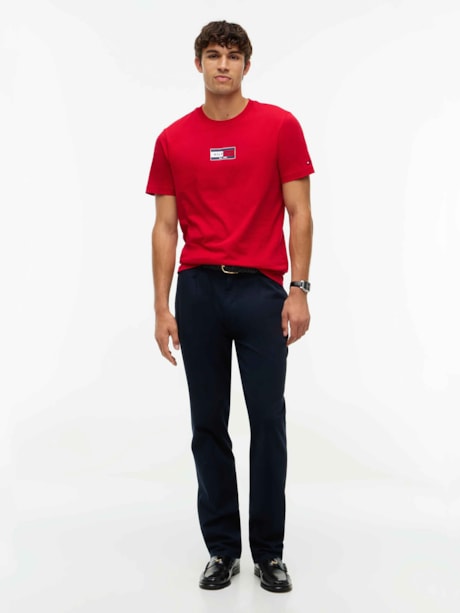 Camiseta Gola C e Logo de Bandeira