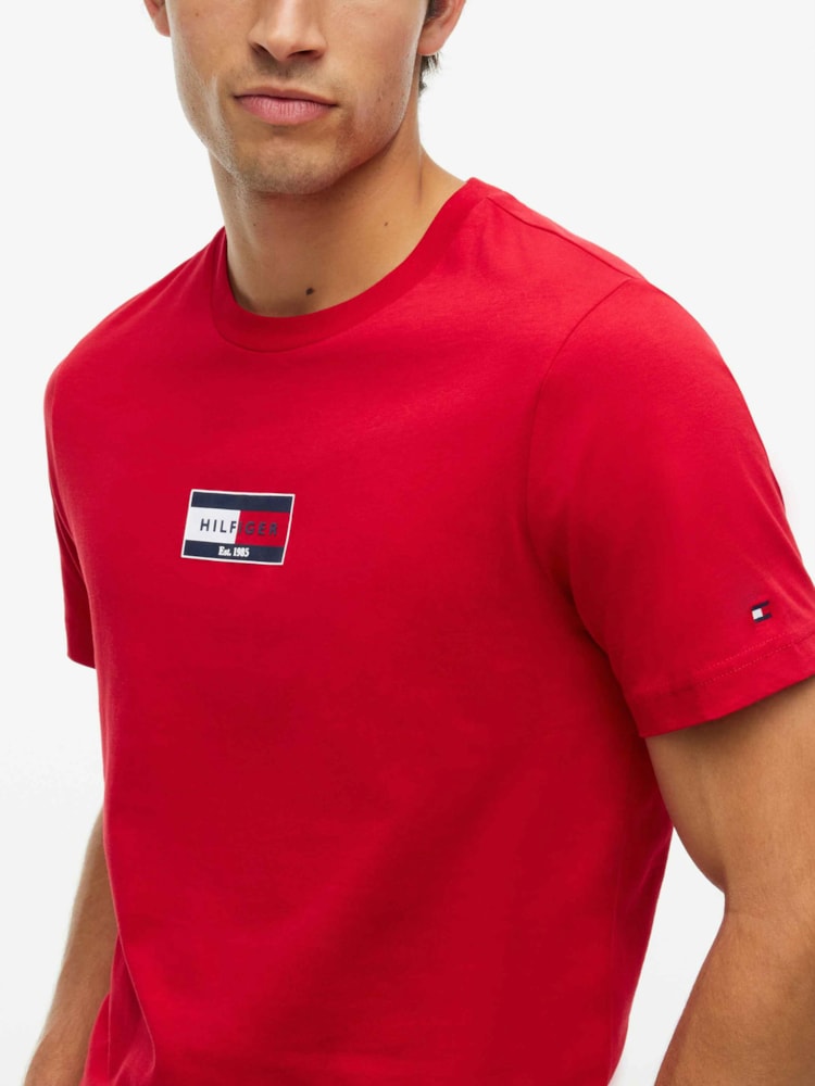 Camiseta Gola C e Logo de Bandeira