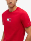 Camiseta Gola C e Logo de Bandeira