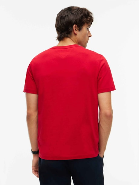 Camiseta Gola C e Logo de Bandeira