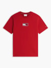 Camiseta Gola C e Logo de Bandeira