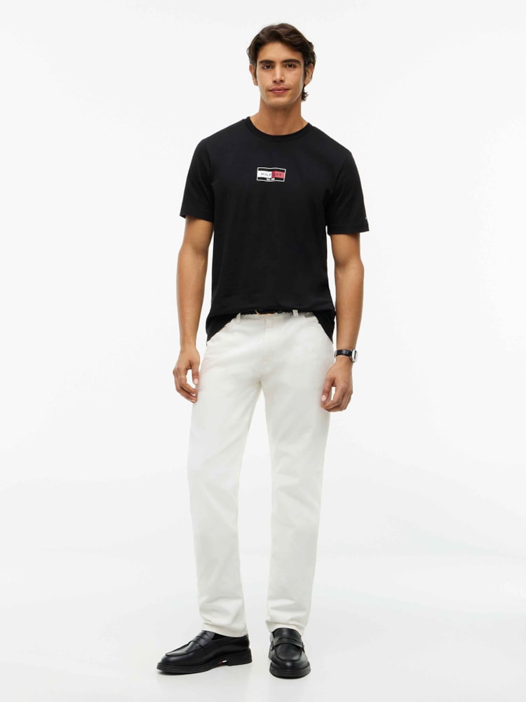 Camiseta Gola C e Logo de Bandeira