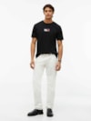 Camiseta Gola C e Logo de Bandeira