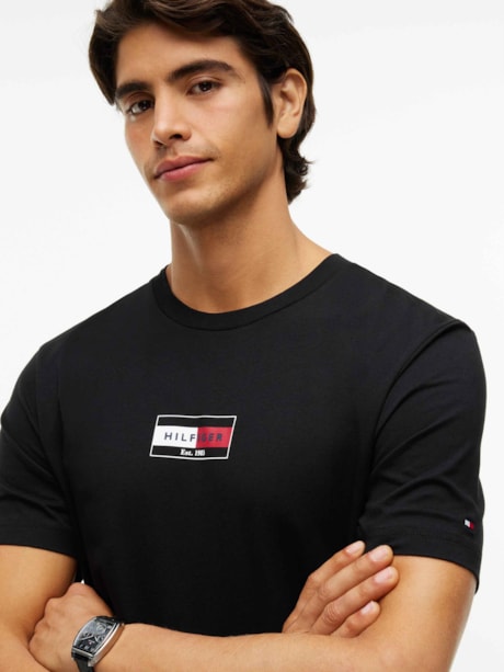Camiseta Gola C e Logo de Bandeira