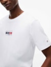 Camiseta Gola C e Logo de Bandeira