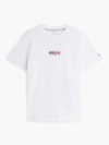 Camiseta Gola C e Logo de Bandeira
