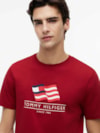 Camiseta Jersey com Estampa de Bandeira Ondulada