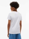 Camiseta Jersey com Logo da Bandeira em Contorno
