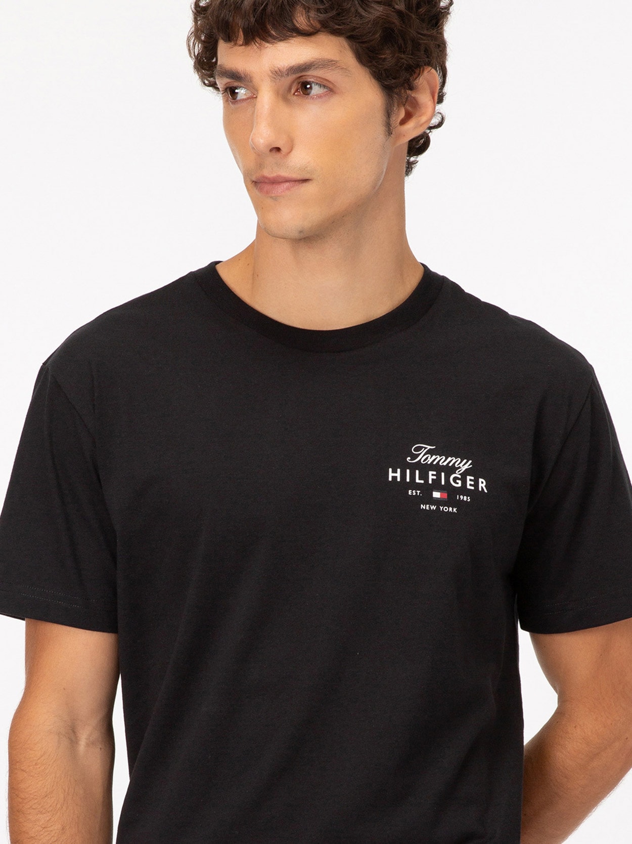 Camiseta Logo Tommy Hilfiger New York