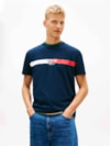 Camiseta Regular Assinatura Listrado