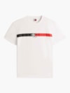 Camiseta Regular Assinatura Listrado