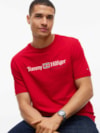 Camiseta Tommy Hilfiger com Gola C