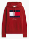 Moletom com Capuz em Fleece e Bordado de Logo Bandeira