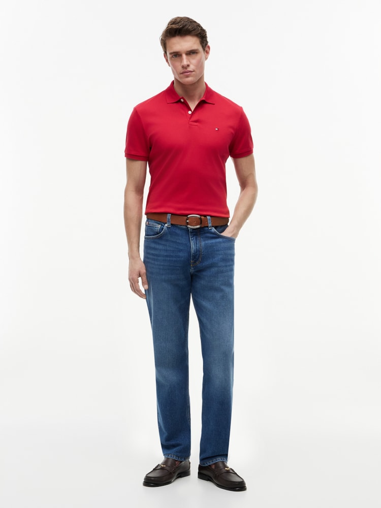 Polo de Modelagem Regular com Bordado da Bandeira