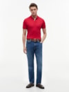 Polo de Modelagem Regular com Bordado da Bandeira