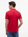 Polo de Modelagem Regular com Bordado da Bandeira