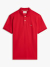 Polo de Modelagem Regular com Bordado da Bandeira