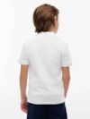 Polo Essential Regular Fit