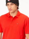 Polo Piquet Regular Fit