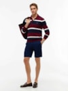 Shorts Tommy Hilfiger Denton Essential em Sarja