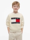 Suéter Infantil Big Flag Heritage em Tricô Grosso